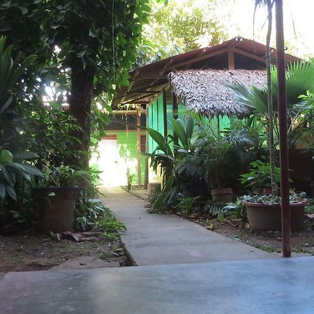 Tambopata Hostel Bambu Puerto Maldonado Kültér fotó