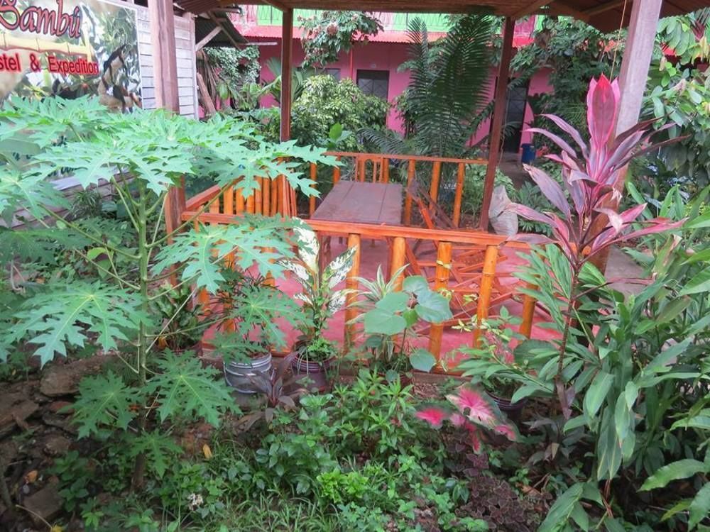 Tambopata Hostel Bambu Puerto Maldonado Kültér fotó