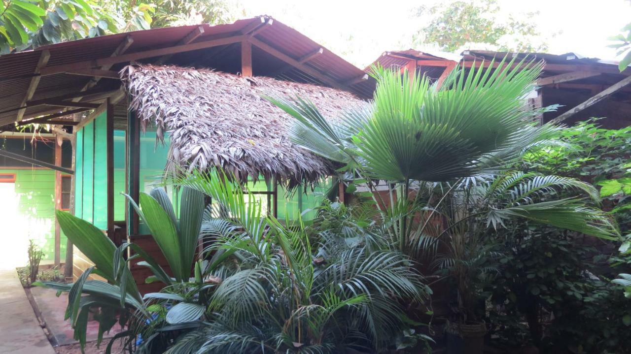 Tambopata Hostel Bambu Puerto Maldonado Kültér fotó