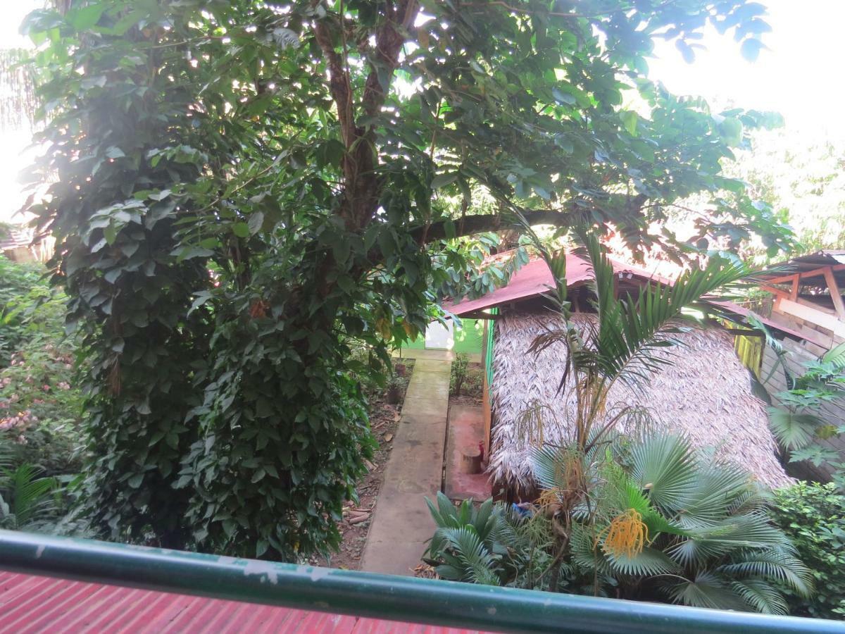 Tambopata Hostel Bambu Puerto Maldonado Kültér fotó